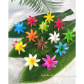 /msite/products/detail/productid/63226671/id/1519436.html